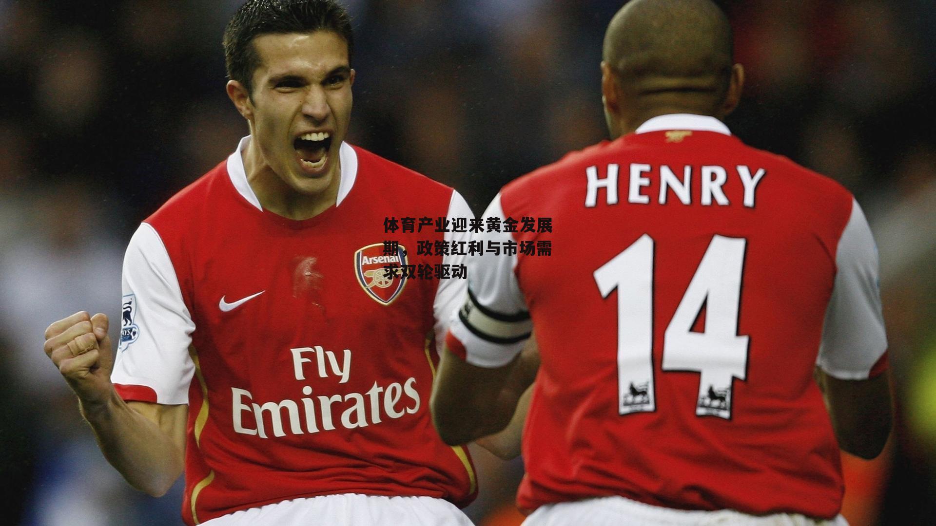 jinnianhui-体育产业迎来黄金发展期，政策红利与市场需求双轮驱动