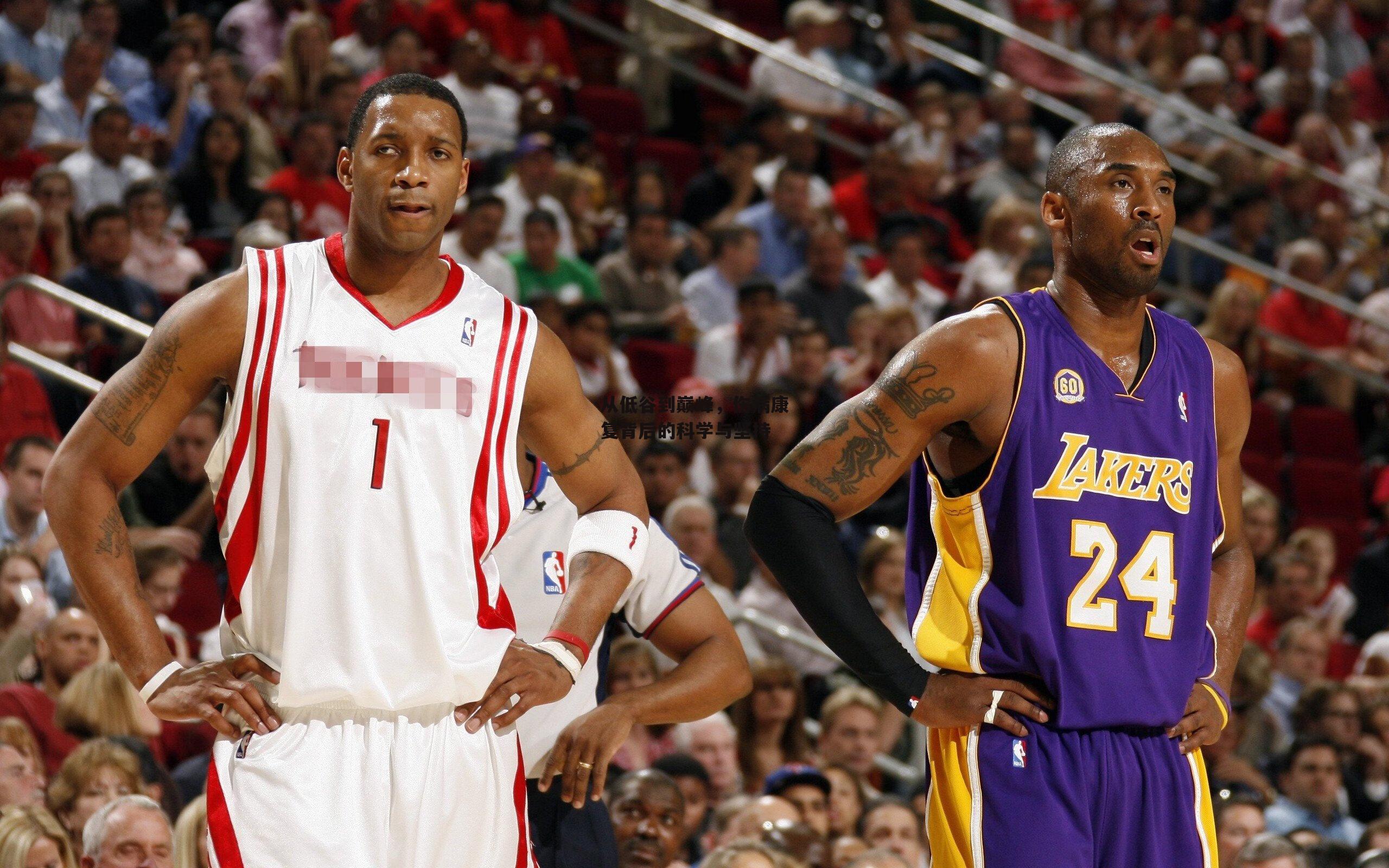 从低谷到巅峰，伤病康复背后的科学与坚持