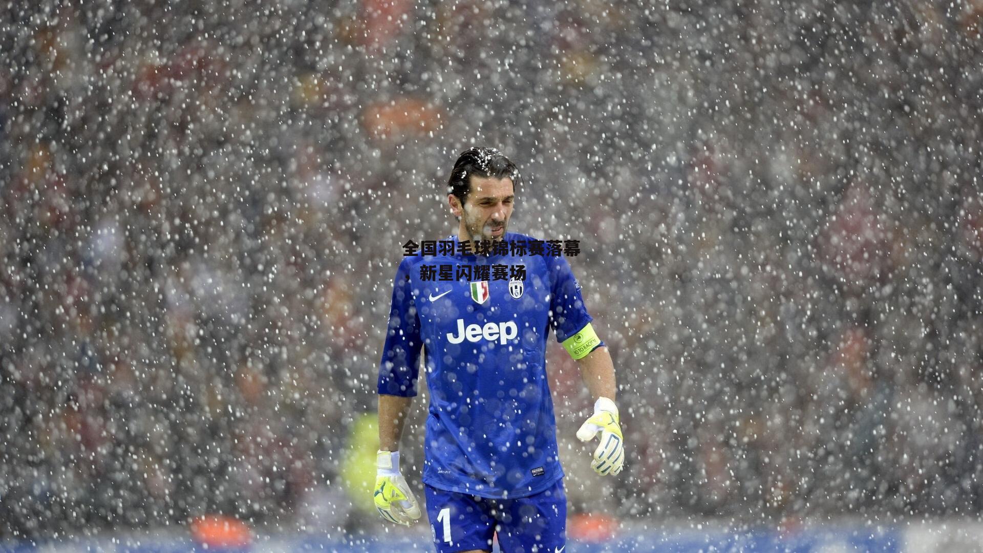 全国羽毛球锦标赛落幕,新星闪耀赛场