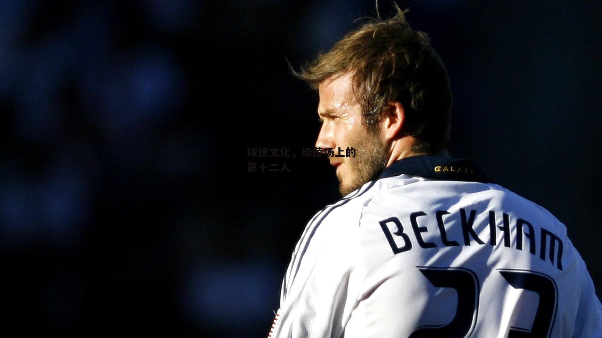 球迷文化,绿茵场上的第十二人